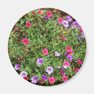 Garden Petunia Magnet
