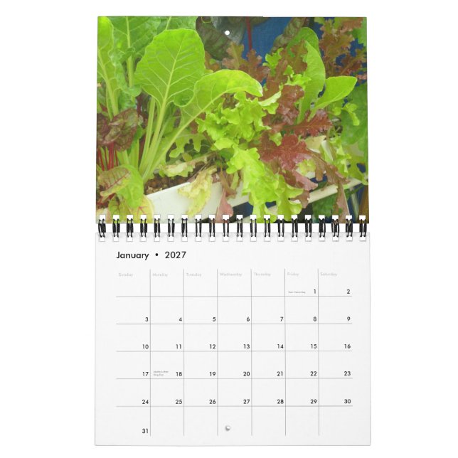 Garden Pool Calendar 2013 - Klein Kalender (Jan 2027)