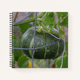Garden Pumpkin-Notebook Notizbuch