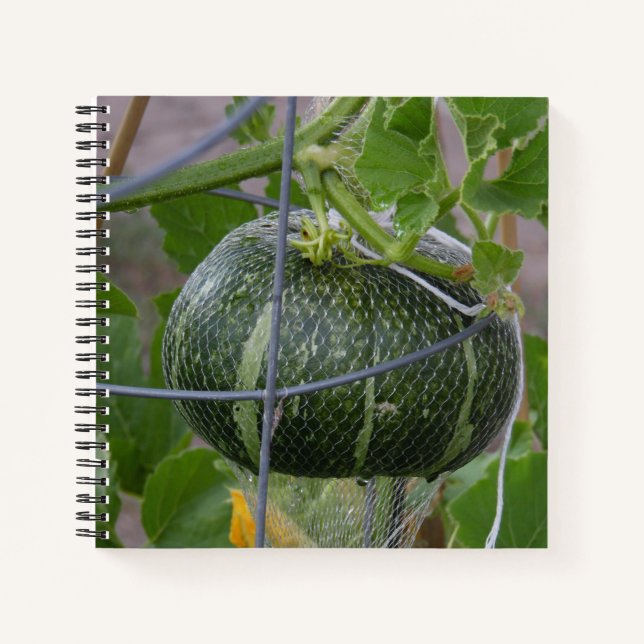 Garden Pumpkin-Notebook Notizbuch (Vorderseite)