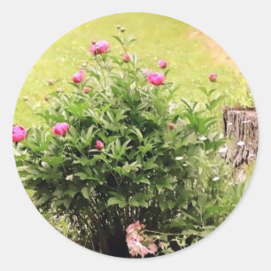 Garden Rose Stickers