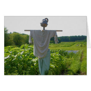 Garden Scarecrow Nature Fotografy Card
