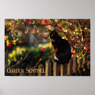 Garden Sentinel: Schwarze Katze im Blut Poster