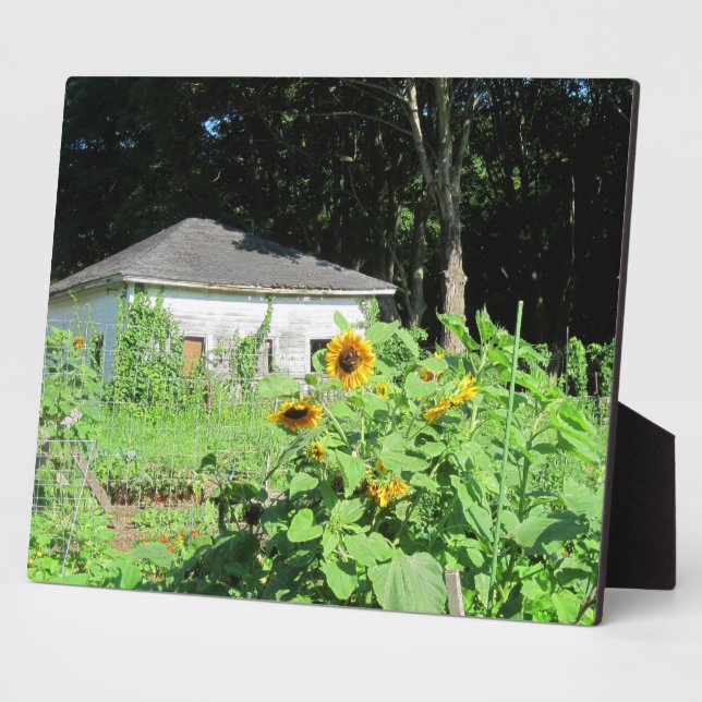 Garden Shed Plaque Fotoplatte (Seite)