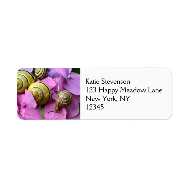 Garden Snails auf rosafarbenen Blume (Vorne)