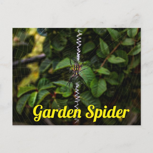 Garden Spione Gebäude a Web Postard Postkarte (Vorderseite)