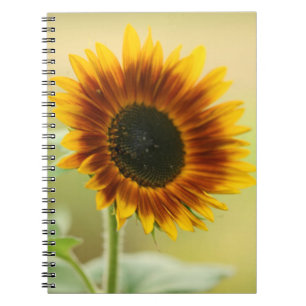 Garden Sunflower Notizblock