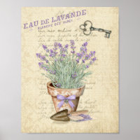 Garden Terracotta Pot French Lavendel