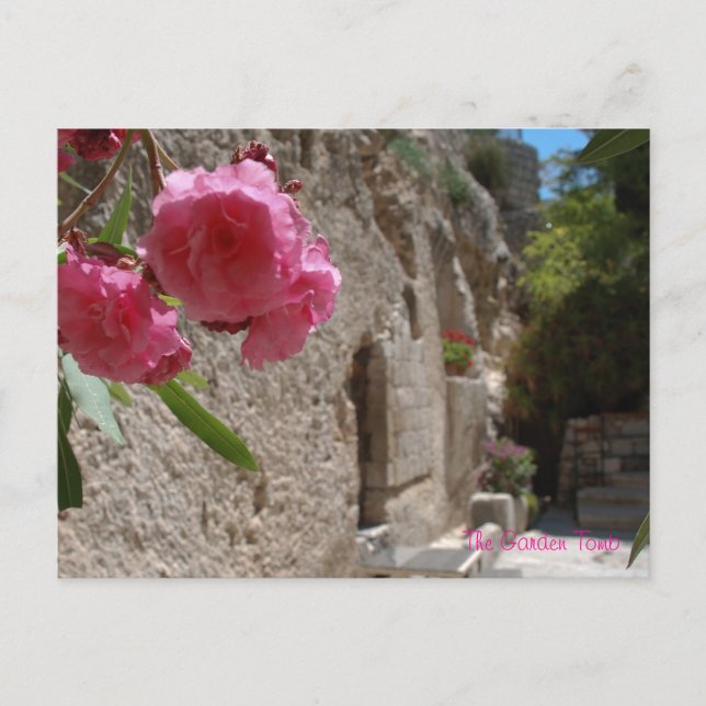 Garden Tomb Jeruselum Isreal Postkarte (Vorderseite)