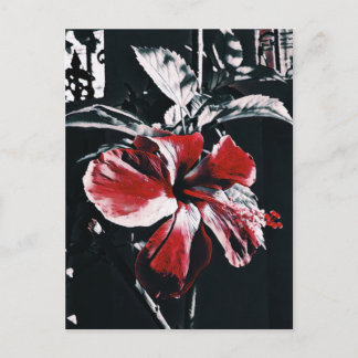 Garden Tropischer Hibiskus Feiertagspostkarte