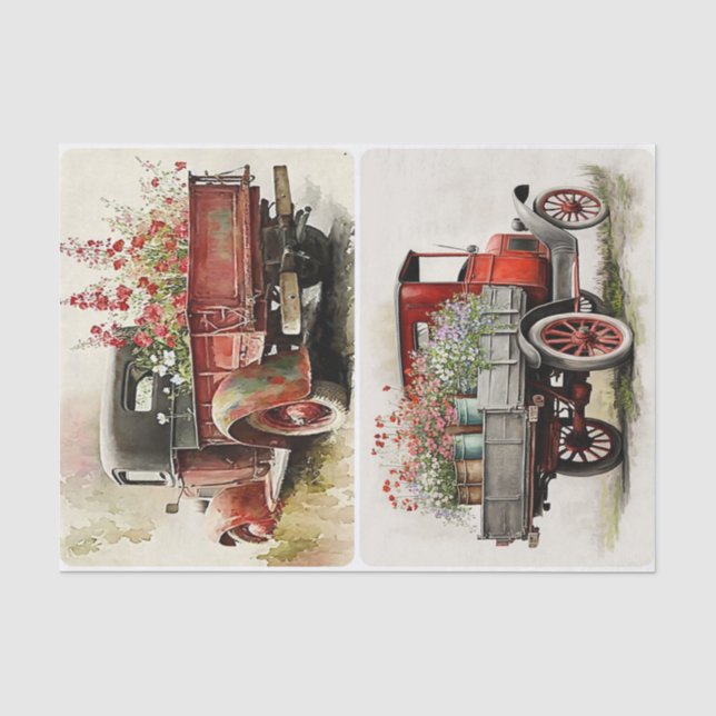 Garden Trucks Seidenpapier (Vorderseite)