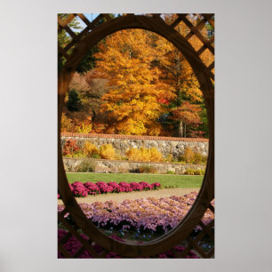 Garden Window Poster