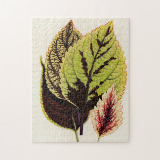 Gardener Botanic Sondergeschenk Puzzle