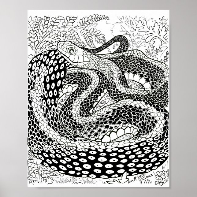 Gardener Snake Study Beyond the Skin Coloring Page Poster (Vorne)