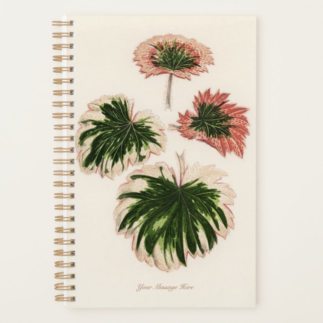 Gardener Special Gift Pflanze Mama Vater Planer (Vorderseite)