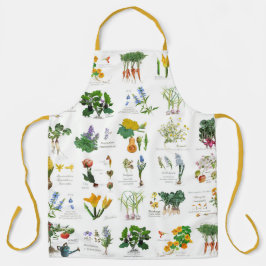 Gardener's harvest and cooking apron. schürze