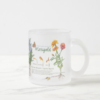 Gardener's teatime mug / herbs no2 mattglastasse