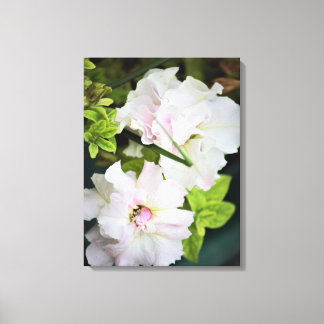 Gardenia Blume Leinwanddruck