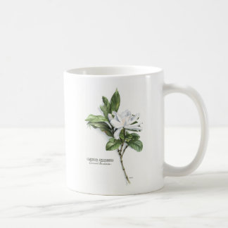 Gardenia Jasminoides (allgemeiner Gardenia) Kaffeetasse