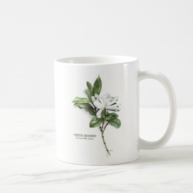 Gardenia Jasminoides (allgemeiner Gardenia) Kaffeetasse (Rechts)