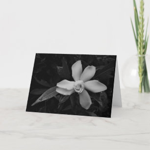 Gardenia - noir, card karte