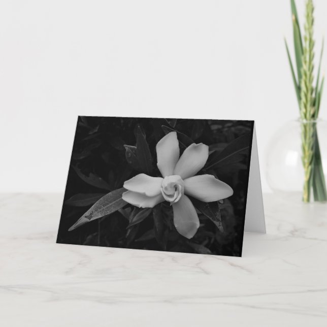 Gardenia - noir, card karte (Vorderseite)
