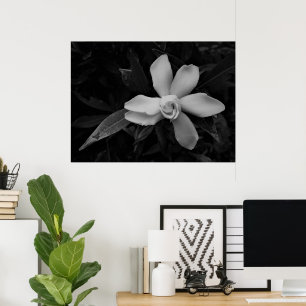 Gardenia - noir poster