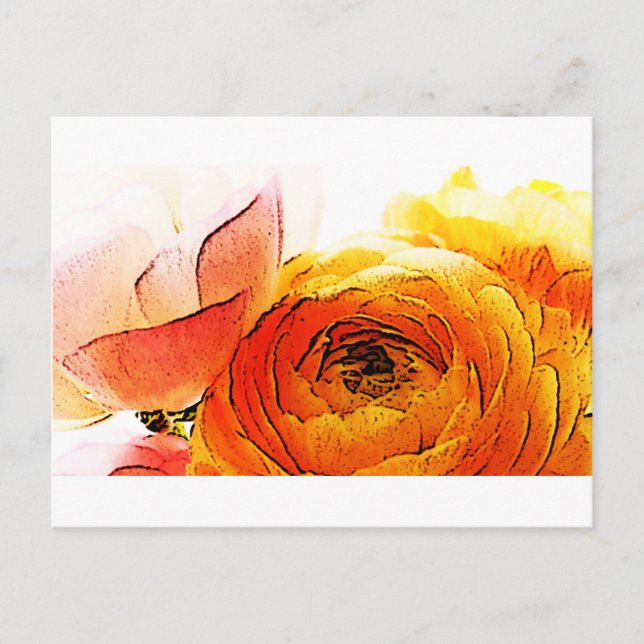 Gardenia Postkarte (Vorderseite)