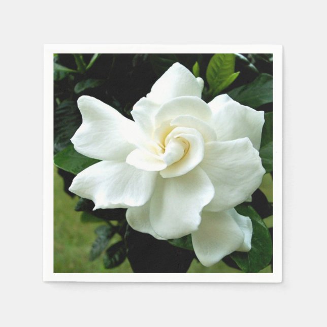 Gardenia Serviette (Vorderseite)