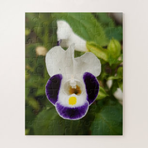 Gardenorchid-Blume, Blüte Puzzle