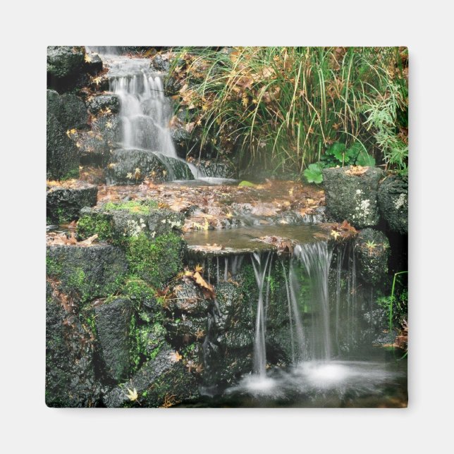 Gardent Delight Magnet (Vorne)