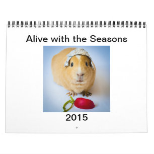 Garfunkel, das Meerschweinchen, Kalender