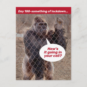 Garilla Gefangenensperre während des Aufenthalts Postkarte