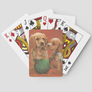 Garn und Zuneigung, Cocker Spaniels beim Spielen Spielkarten