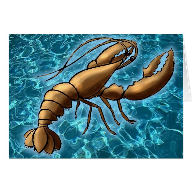 Garnele (Vorderseite (Horizontal))