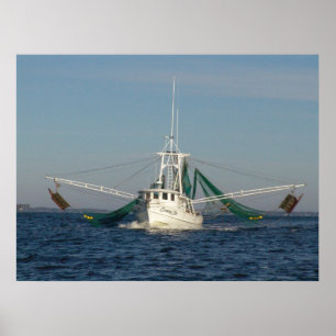 Garnele-Boot Poster
