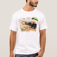 Garnele und Miesmuscheln
