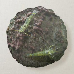 Garnelen Rundkissen Rundes Kissen