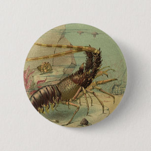 Garnelen, Unterwasser-Meeresleben, Vintage-Meeresl Button
