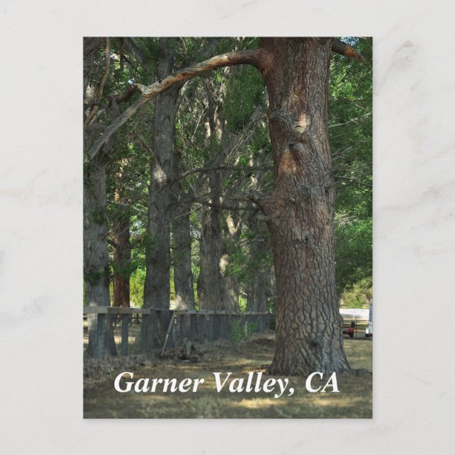 Garner Valley, CA Postcard Postkarte (Vorderseite)