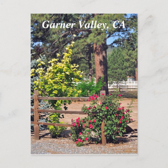 Garner Valley, CA Postkarte (Vorderseite)