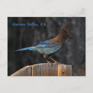 Garner Valley, CA Postkarte