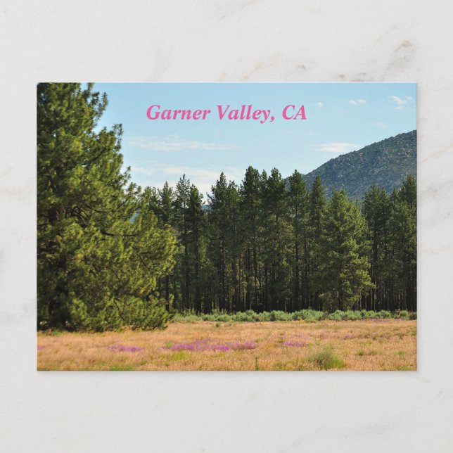 Garner Valley, CA Postkarte (Vorderseite)