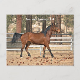 Garner Valley Postcard Postkarte