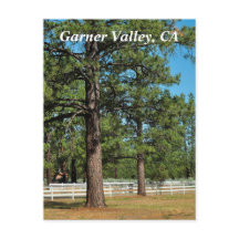 Garner Valley Postcard