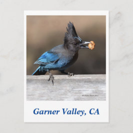 Garner Valley Postcard Postkarte