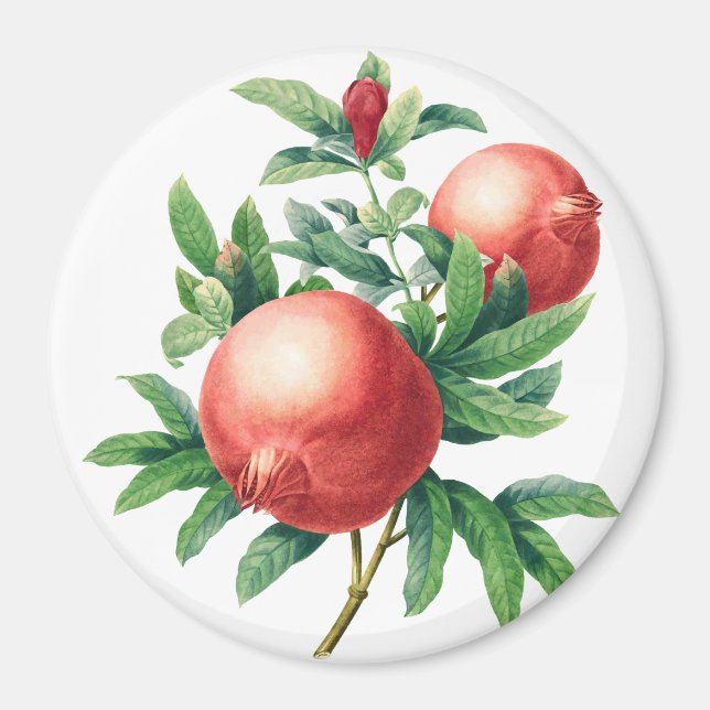 Garnets Magnet (Vorne)