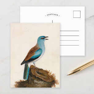 Garrulous Roller   William Lewin Postkarte