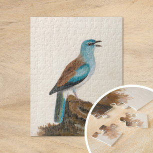 Garrulous Roller   William Lewin Puzzle