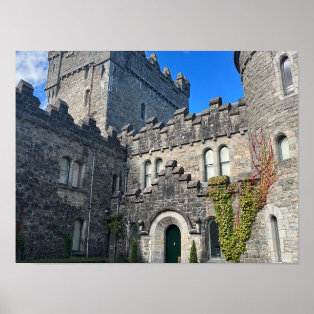 Gartan Mountain Landkreis Donegal Irland Europa Poster (Vorne)